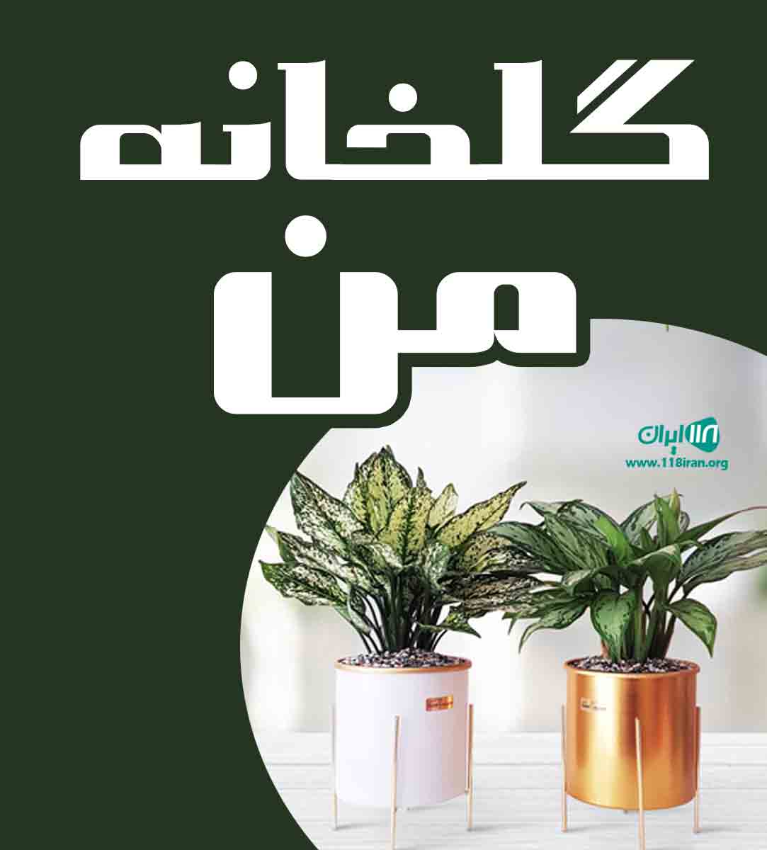 گلخانه من در جویبار مازندران گلخانه من در جویبار مازندران