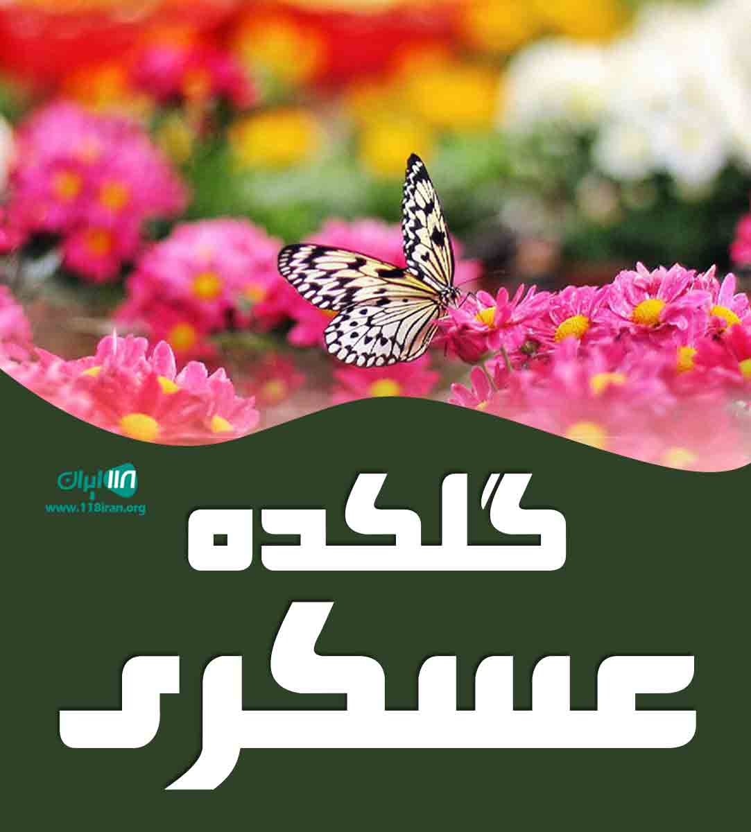 گلکده عسکری در عباس آباد گلکده عسکری در عباس آباد