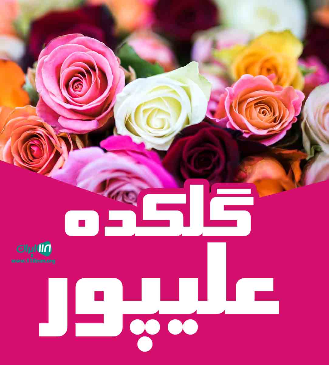 گلکده علیپور در محمودآباد گلکده علیپور در محمودآباد