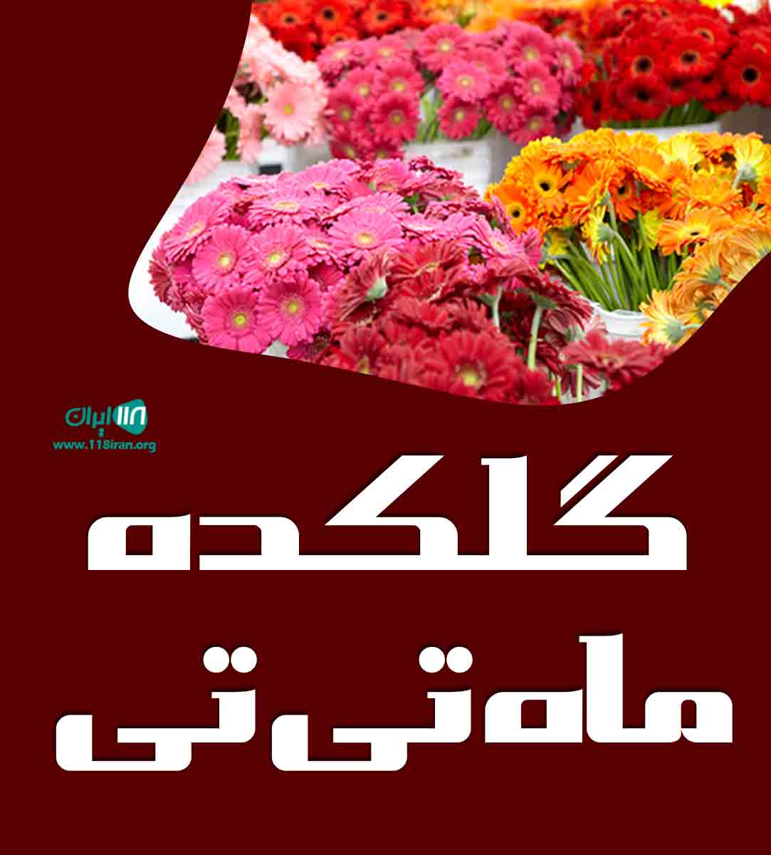 گلکده ماه تی تی در خرم آباد تنکابن گلکده ماه تی تی در خرم آباد تنکابن