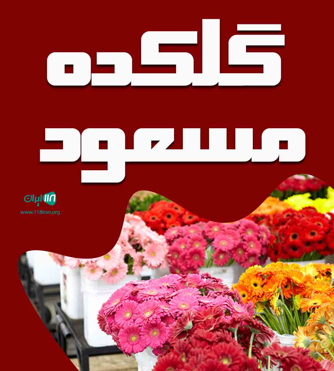 گلکده مسعود در کرمانشاه گلکده مسعود در کرمانشاه