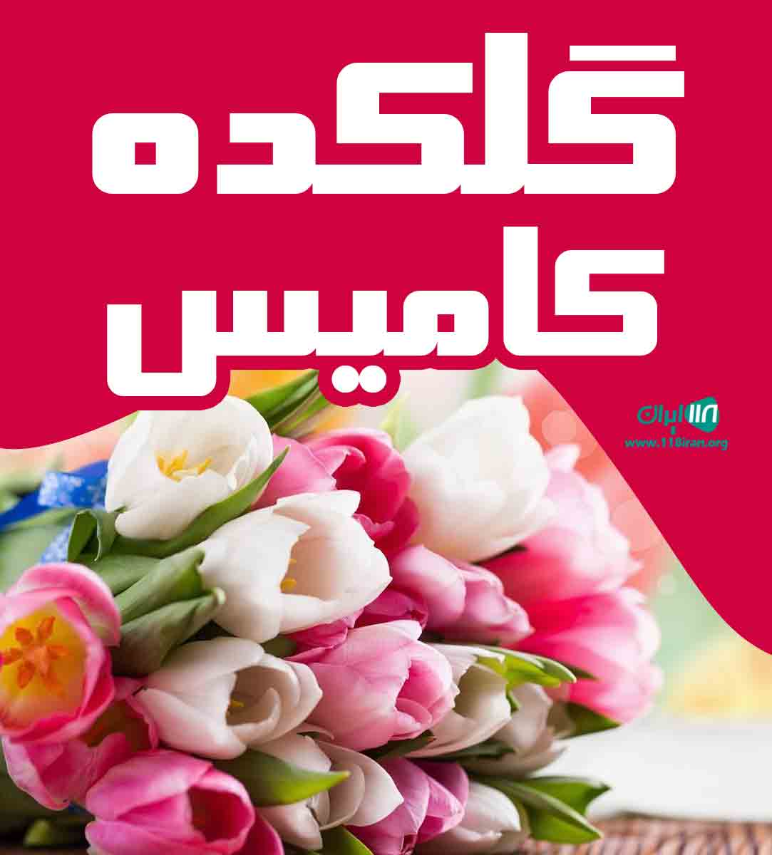 گلکده کامیس در شیرود مازندران گلکده کامیس در شیرود مازندران