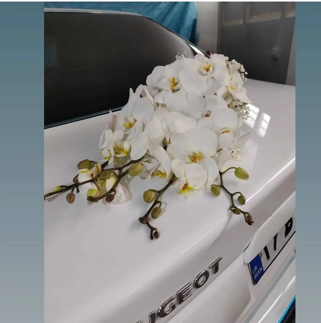 تشریفات و بادکنک آرایی فرشته صالح در اصفهان