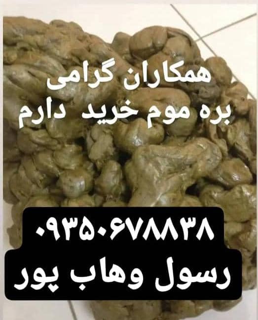 عسل آذربایجان رسول وهاب پور در مرند عسل آذربایجان رسول وهاب پور در مرند