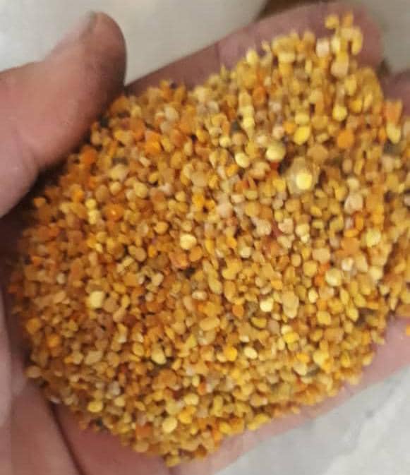 عسل آذربایجان رسول وهاب پور در مرند عسل آذربایجان رسول وهاب پور در مرند