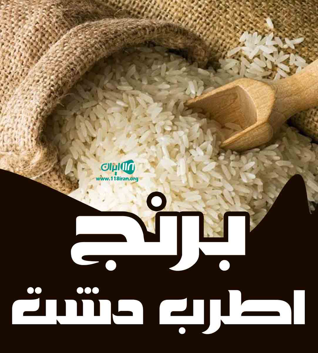 برنج اطرب دشت در نکا برنج اطرب دشت در نکا