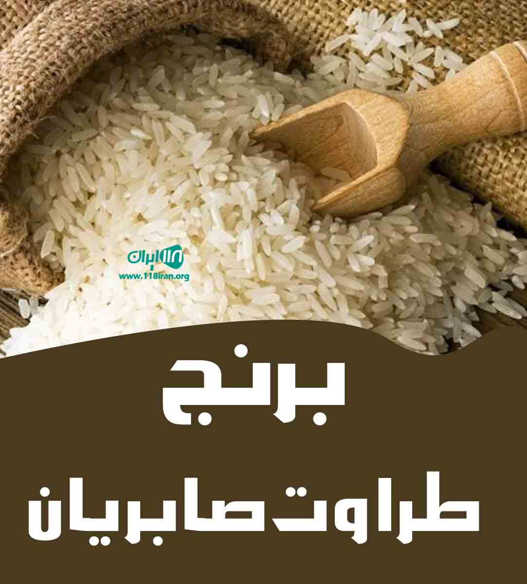 برنج طراوت صابریان در جویبار