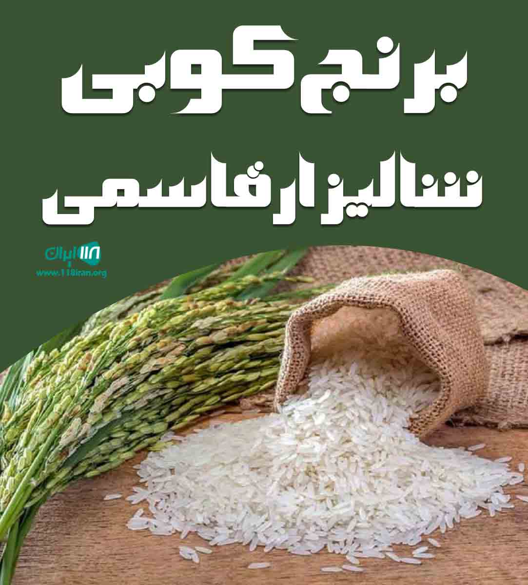 برنج کوبی شالیزار قاسمی در اصفهان
