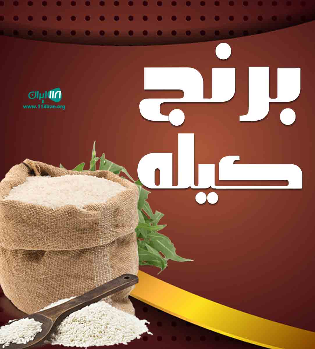 برنج کیله در ساری