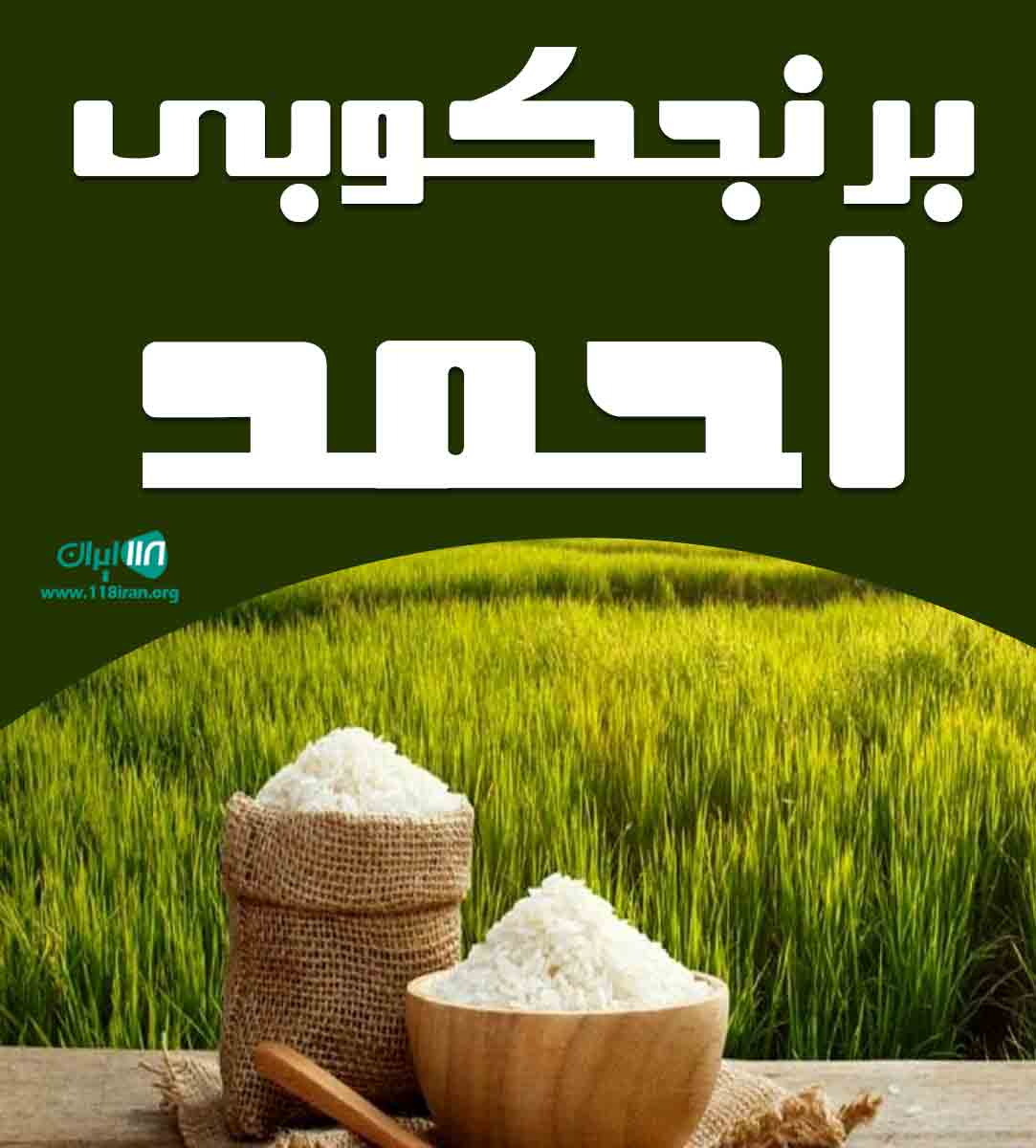 برنجکوبی احمد در شوشتر