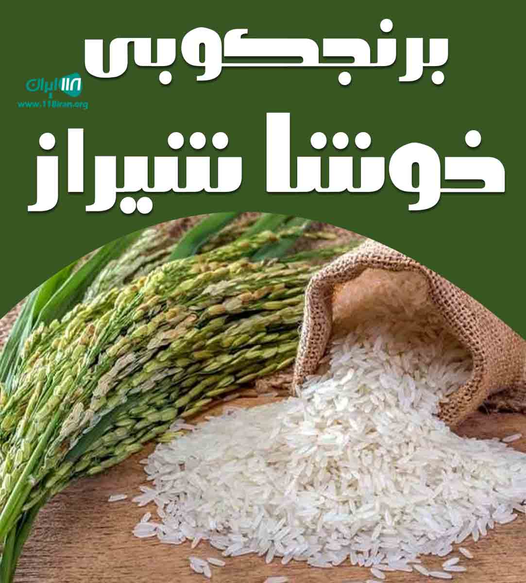 برنجکوبی خوشا شیراز در خانیمن