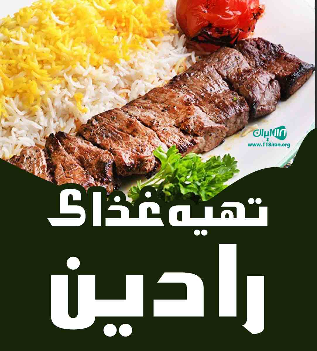 تهیه غذای رادین در همدان