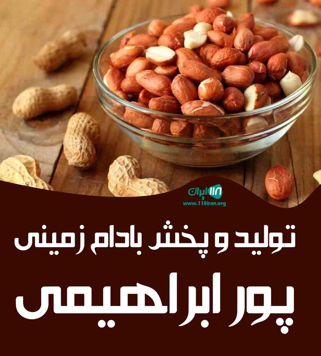 تولید و پخش بادام زمینی پورابراهیمی در آستانه اشرفیه