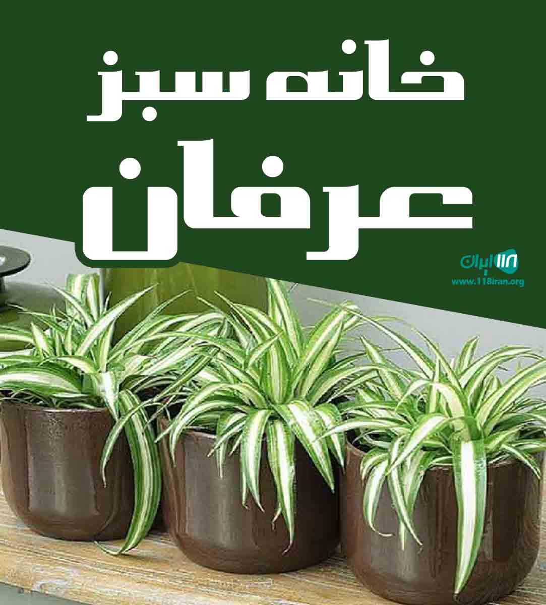 خانه سبز عرفان در بابل خانه سبز عرفان در بابل