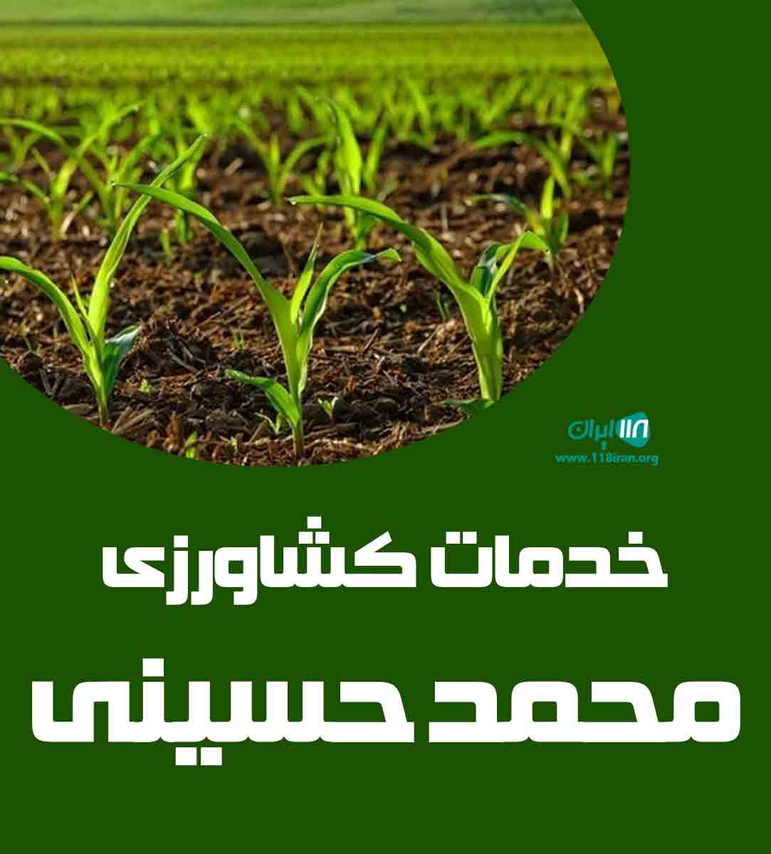 خدمات کشاورزی محمد حسینی در تهران خدمات کشاورزی محمد حسینی در تهران