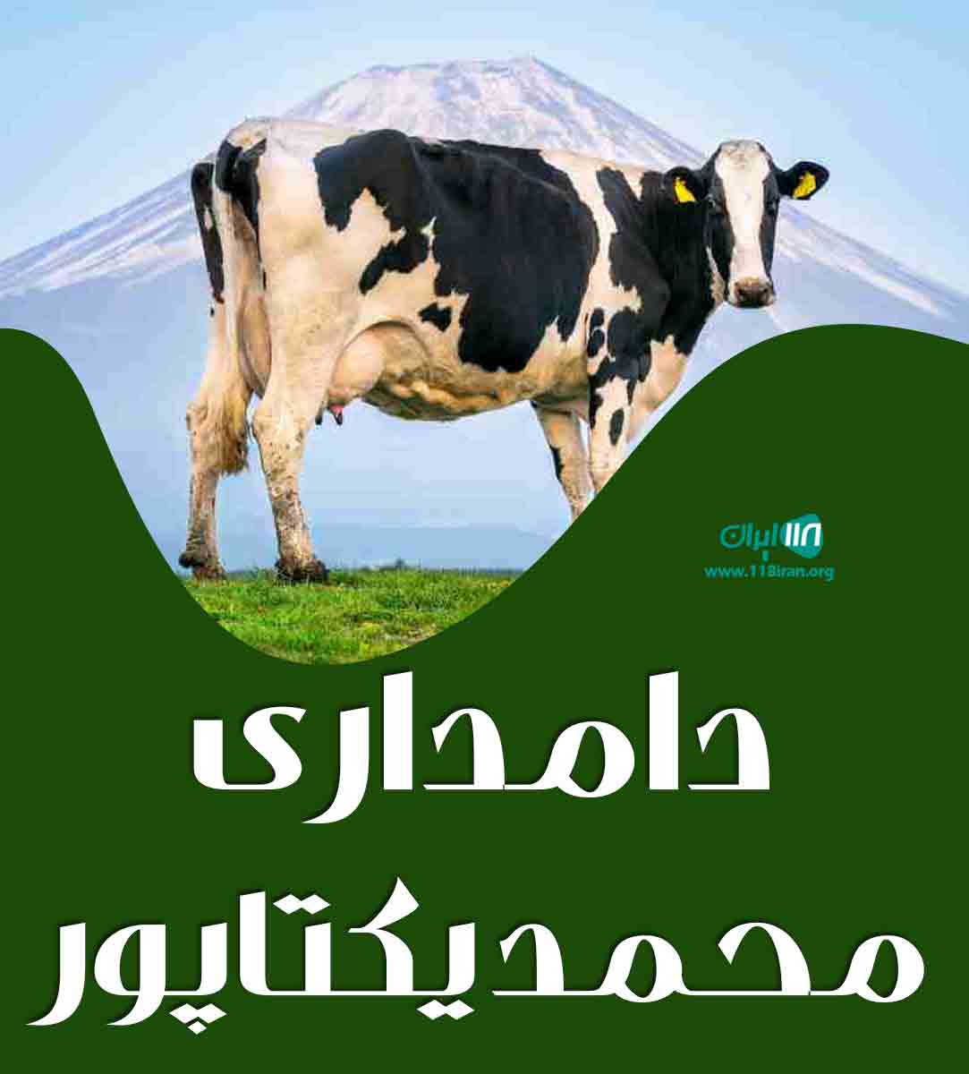 دامداری محمد یکتاپور در گیلان کوچصفهان دامداری محمد یکتاپور در گیلان کوچصفهان