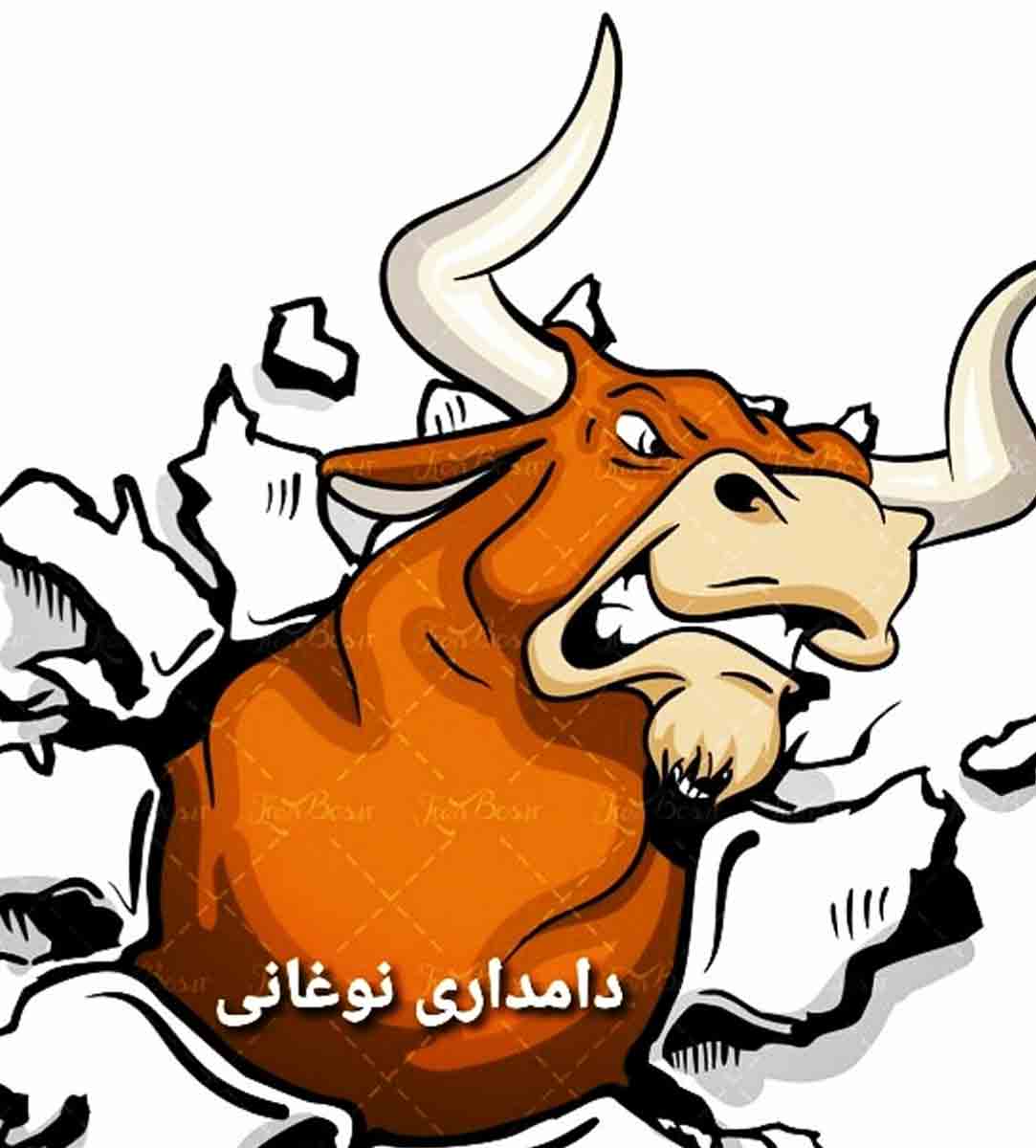 دامداری نوغانی در گیلان کوچصفهان دامداری نوغانی در گیلان کوچصفهان