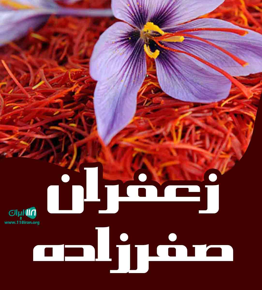 زعفران صفرزاده در زاوه تربت حیدریه