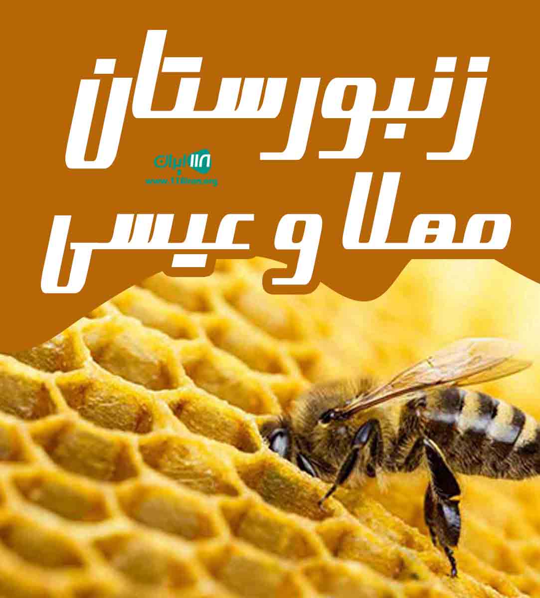 زنبورستان مهلا و عیسی در علی آباد کتول