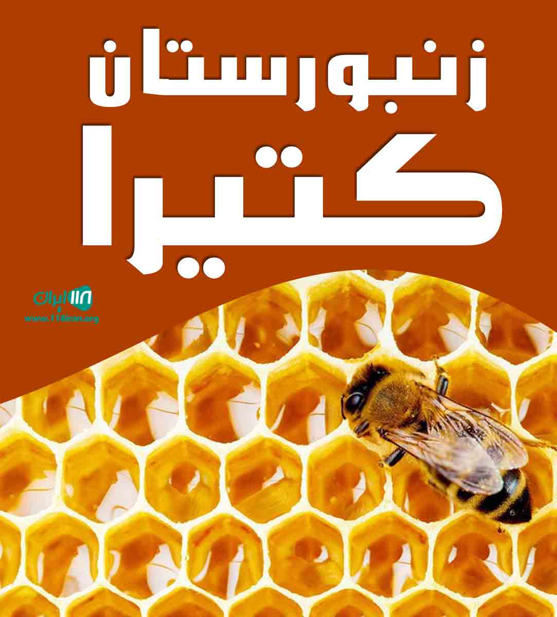 زنبورستان کتیرا در خرم آباد