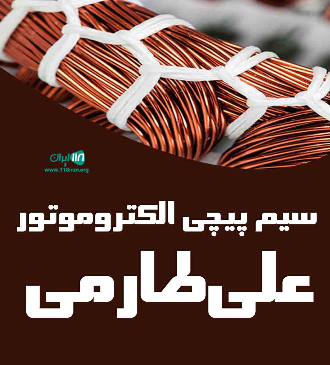 سیم پیچی الکتروموتور علی طارمی در تهران