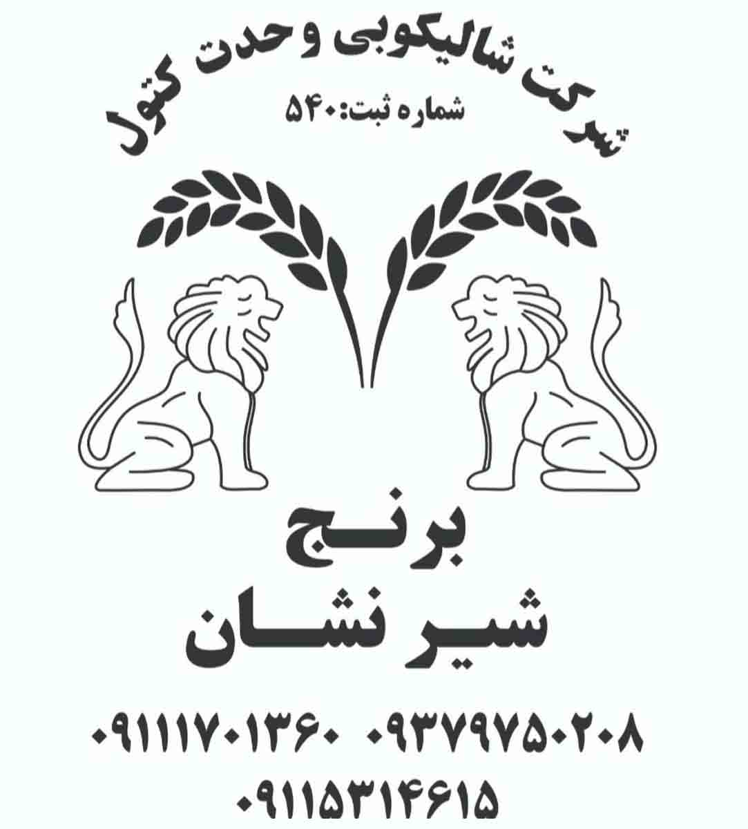 شالیکوبی وحدت کتول در علی آباد کتول