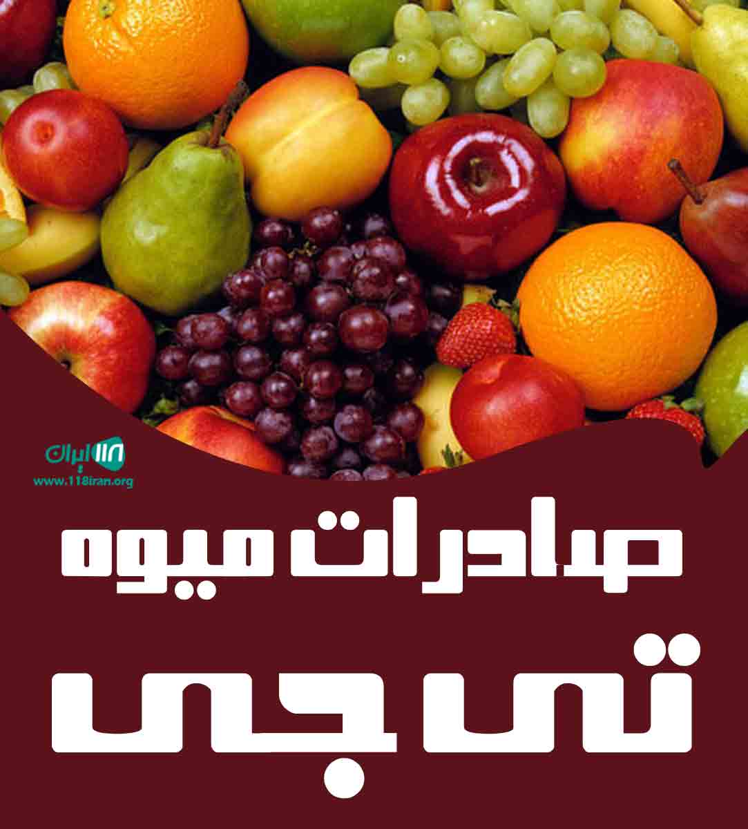 صادرات میوه تی جی در قائم شهر