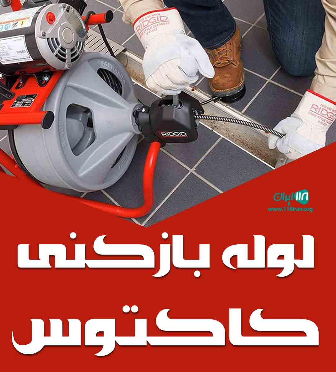 لوله بازکنی کاکتوس در آبادان لوله بازکنی کاکتوس در آبادان