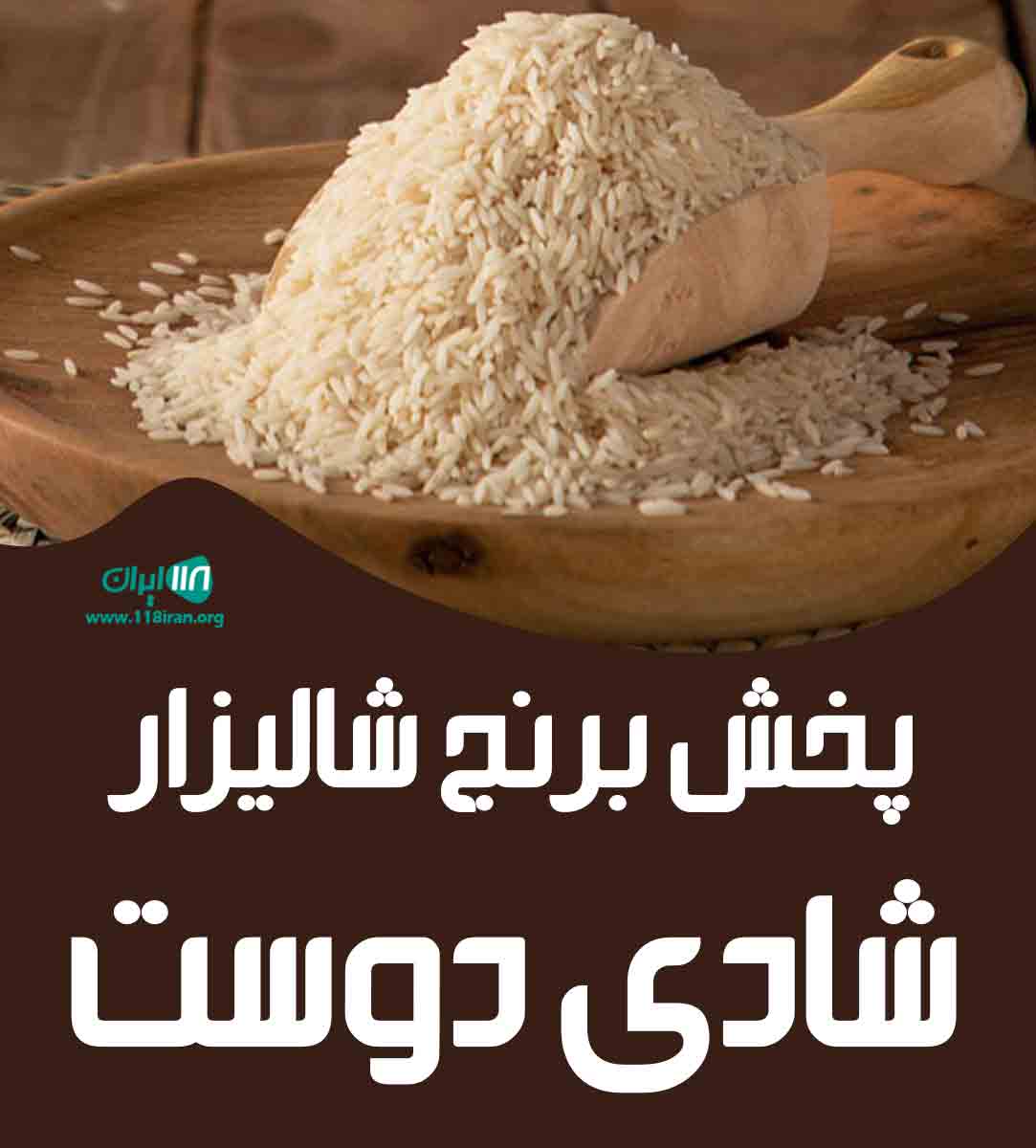 پخش برنج شالیزار شادی دوست در ارومیه