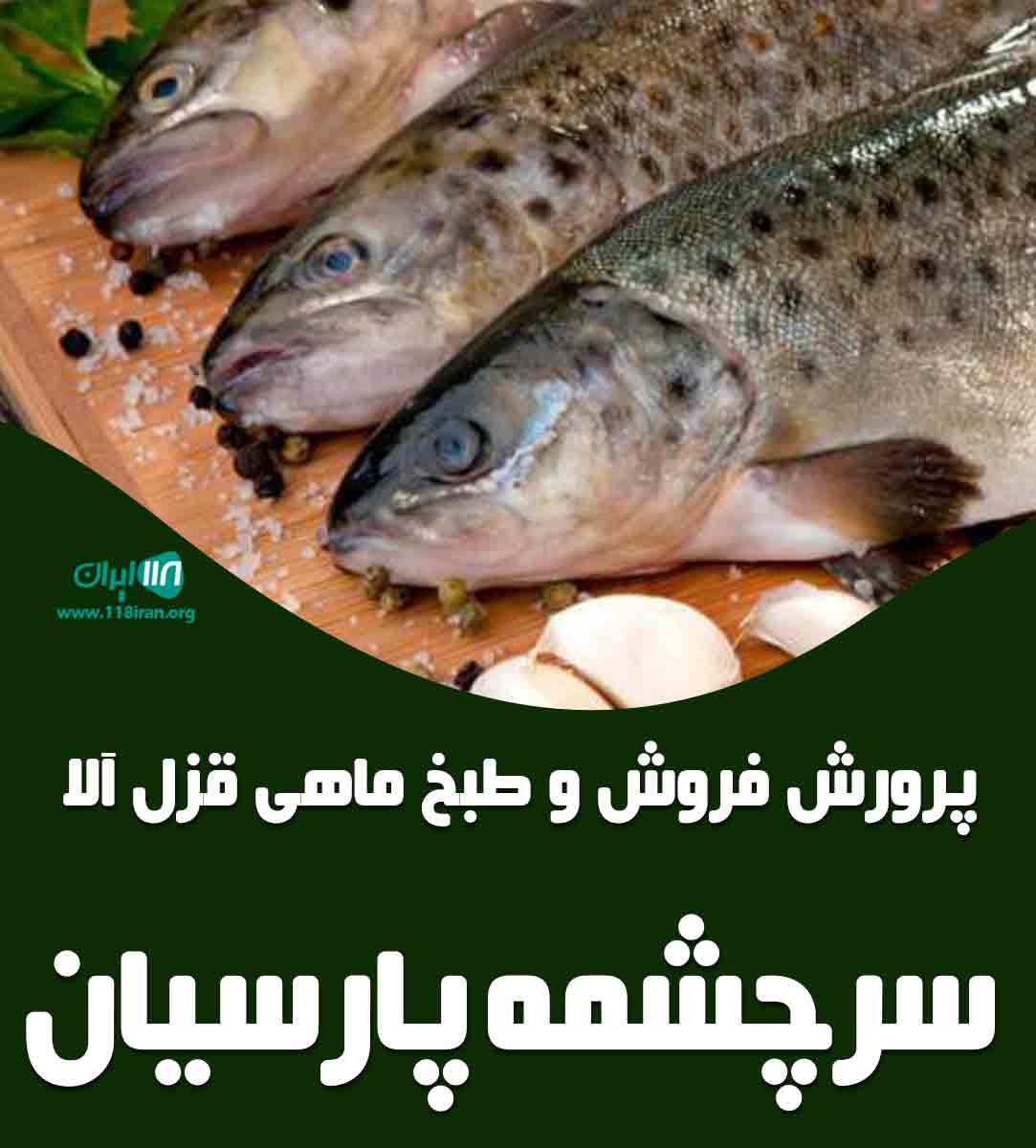 پرورش فروش و طبخ ماهی قزل آلا سرچشمه پارسیان در قزوین