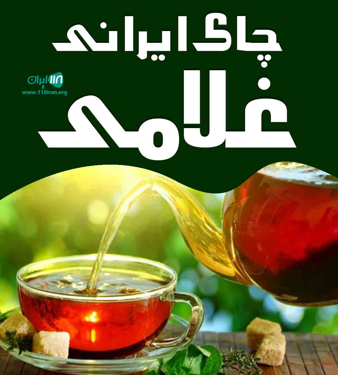 چای ایرانی غلامی در لاهیجان چای ایرانی غلامی در لاهیجان