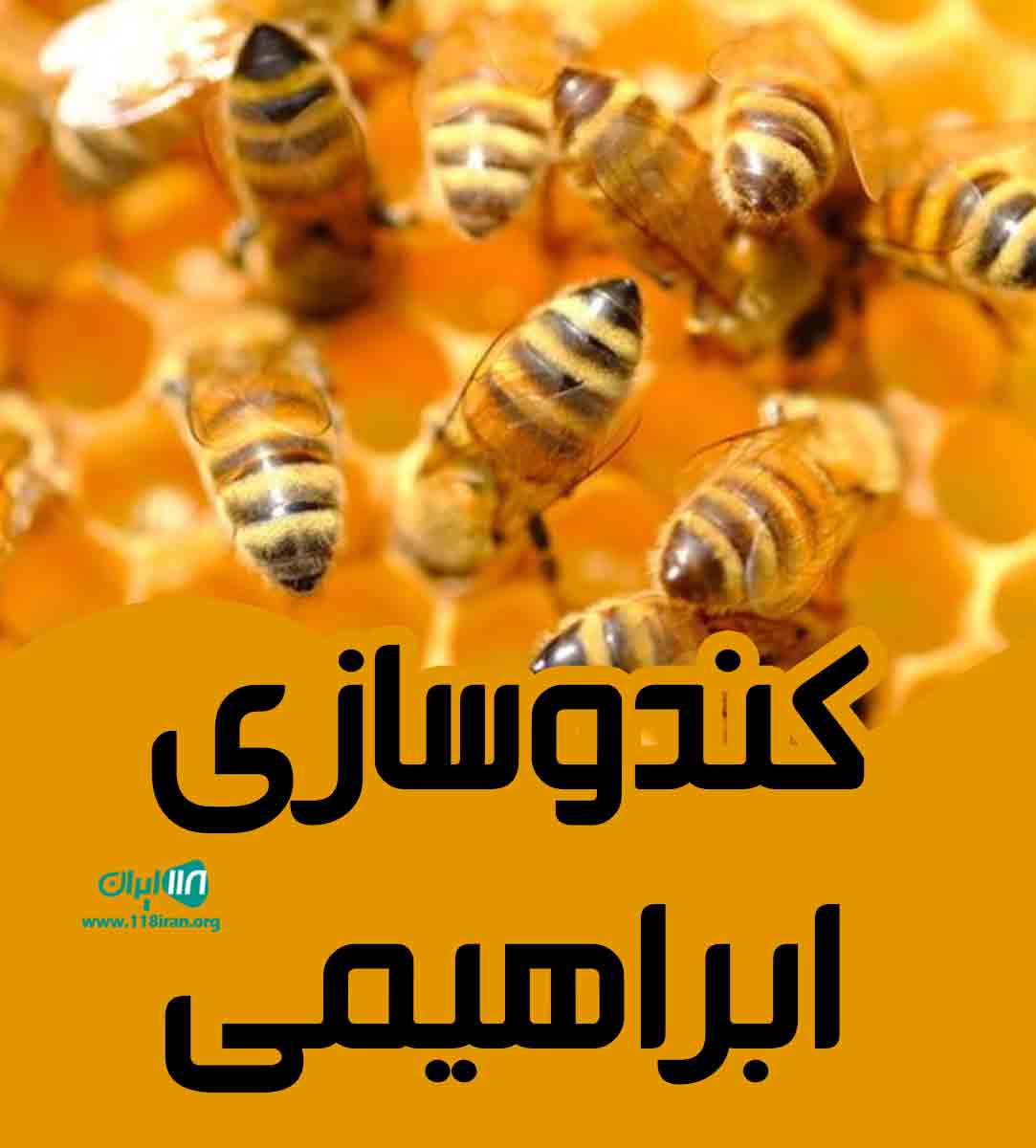 کندوسازی ابراهیمی در اردکلو مرند