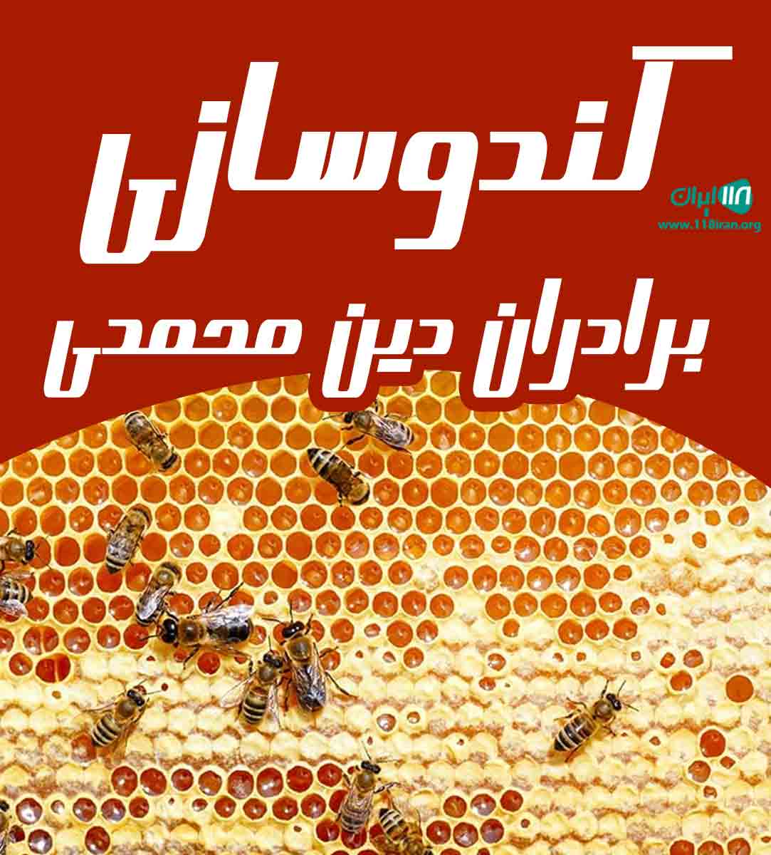 کندوسازی برادران دین محمدی در کرسف خدابنده