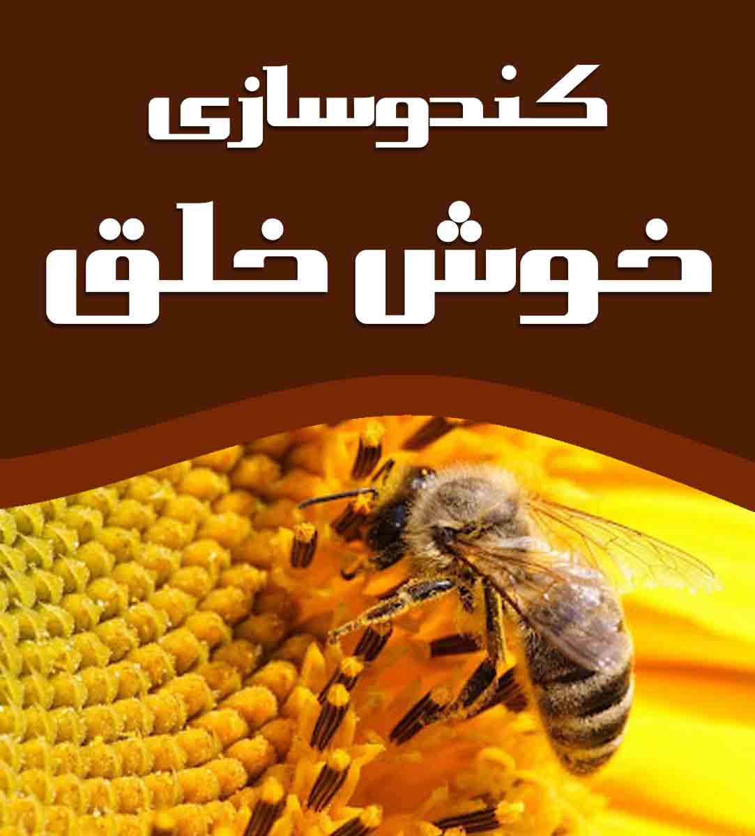 کندوسازی خوش خلق در چورس چایپاره