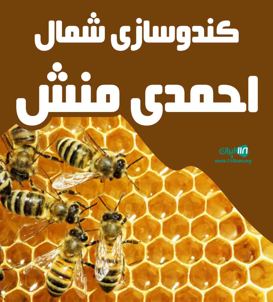 کندوسازی شمال احمدی منش در بابل