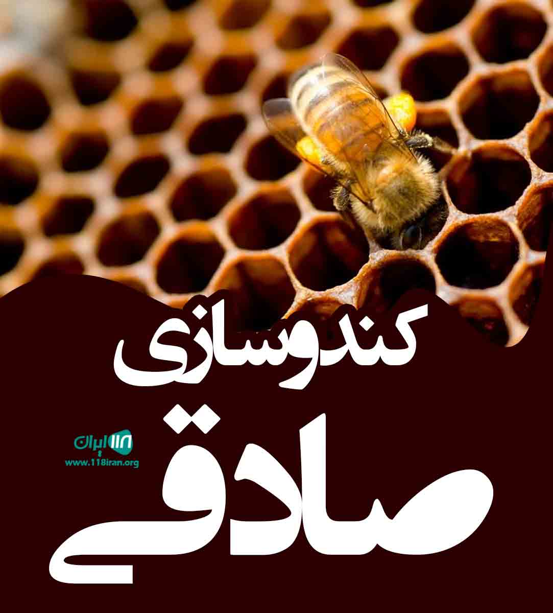 کندوسازی صادقی در سقز کندوسازی صادقی در سقز