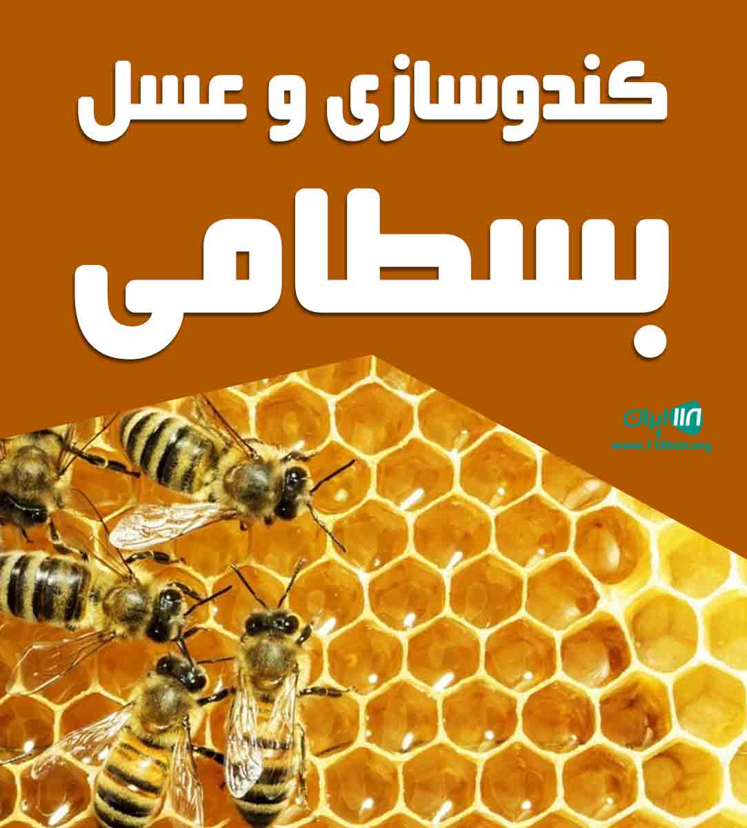 کندوسازی و عسل بسطامی در گرگان سرخنکلاته