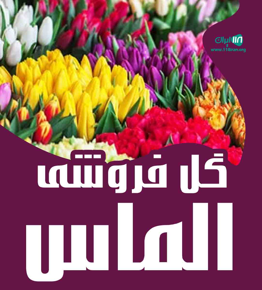 گل فروشی الماس در تهران گل فروشی الماس در تهران