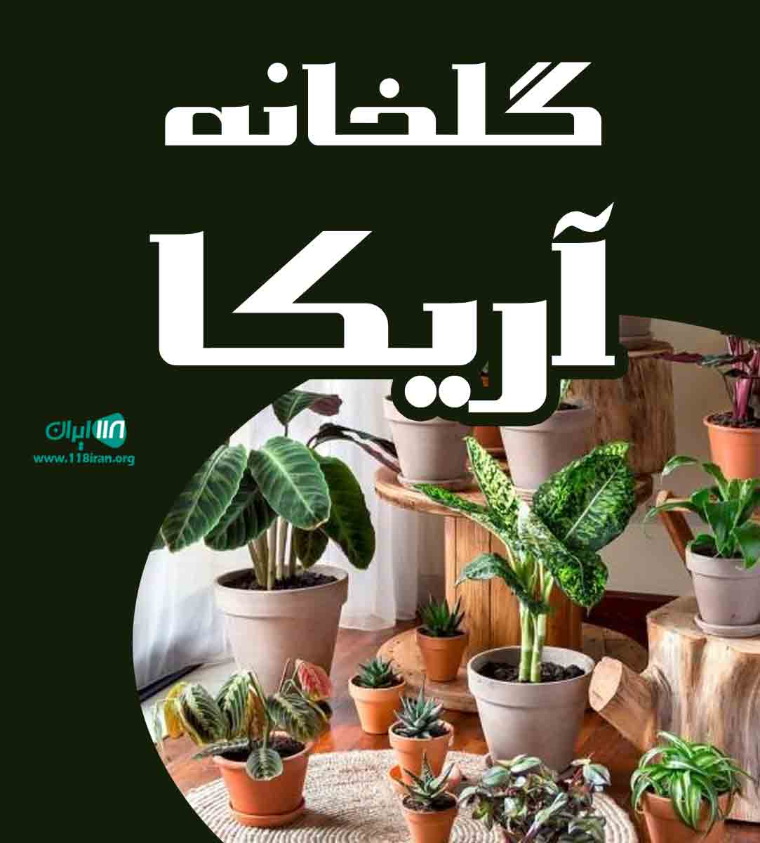 گلخانه آریکا در عباس آباد مازندران گلخانه آریکا در عباس آباد مازندران