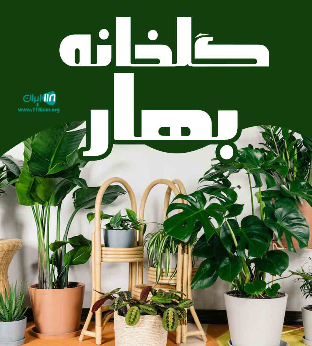 گلخانه بهار در ساری گلخانه بهار در ساری