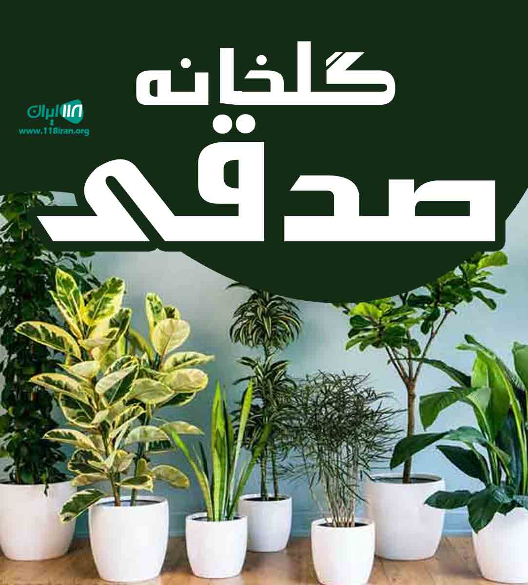 گلخانه صدقی در بهشهر