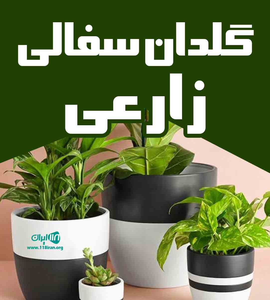 خمره و گلدان زارعی در لالجین