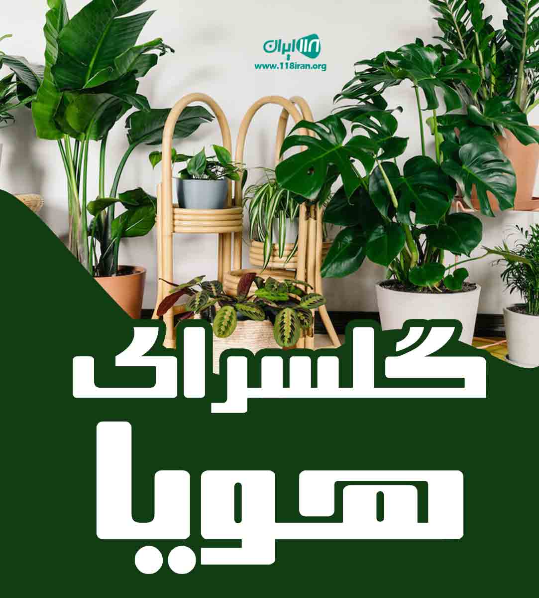 گلسرای هویا لیلی در ساری گلسرای هویا لیلی در ساری