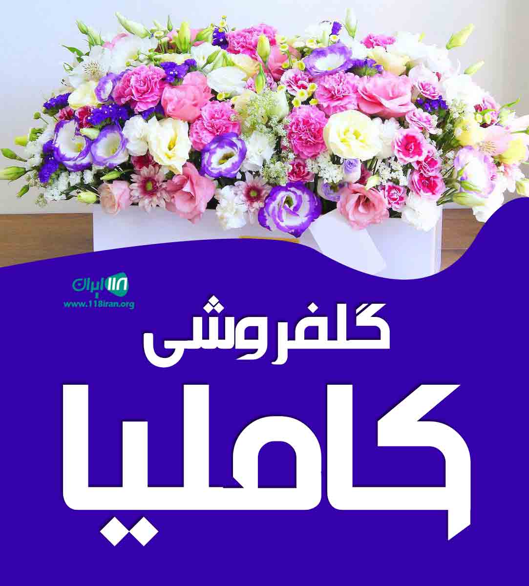 گلفروشی کاملیا در چمستان گلفروشی کاملیا در چمستان