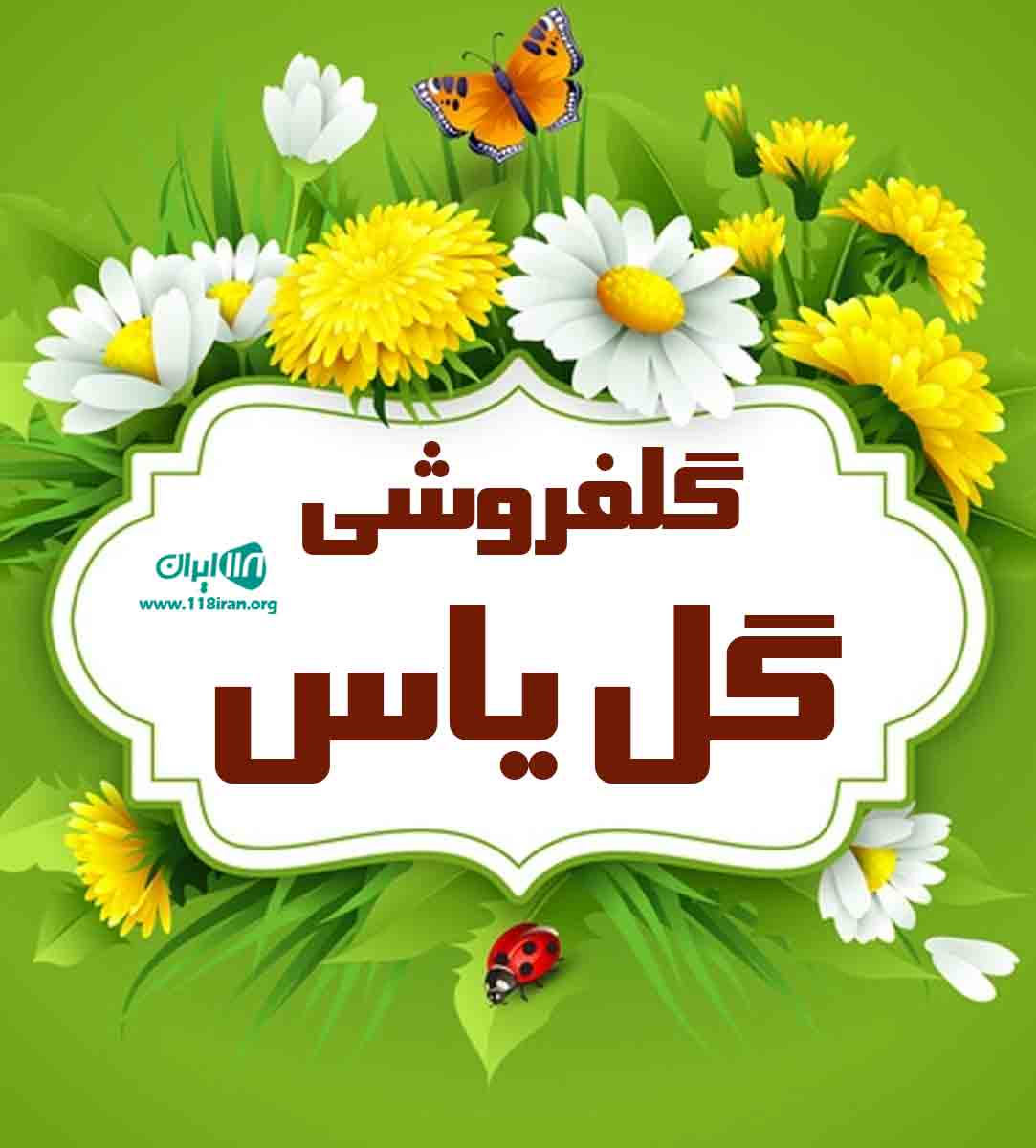 گلفروشی گل یاس در آمل گلفروشی گل یاس در آمل