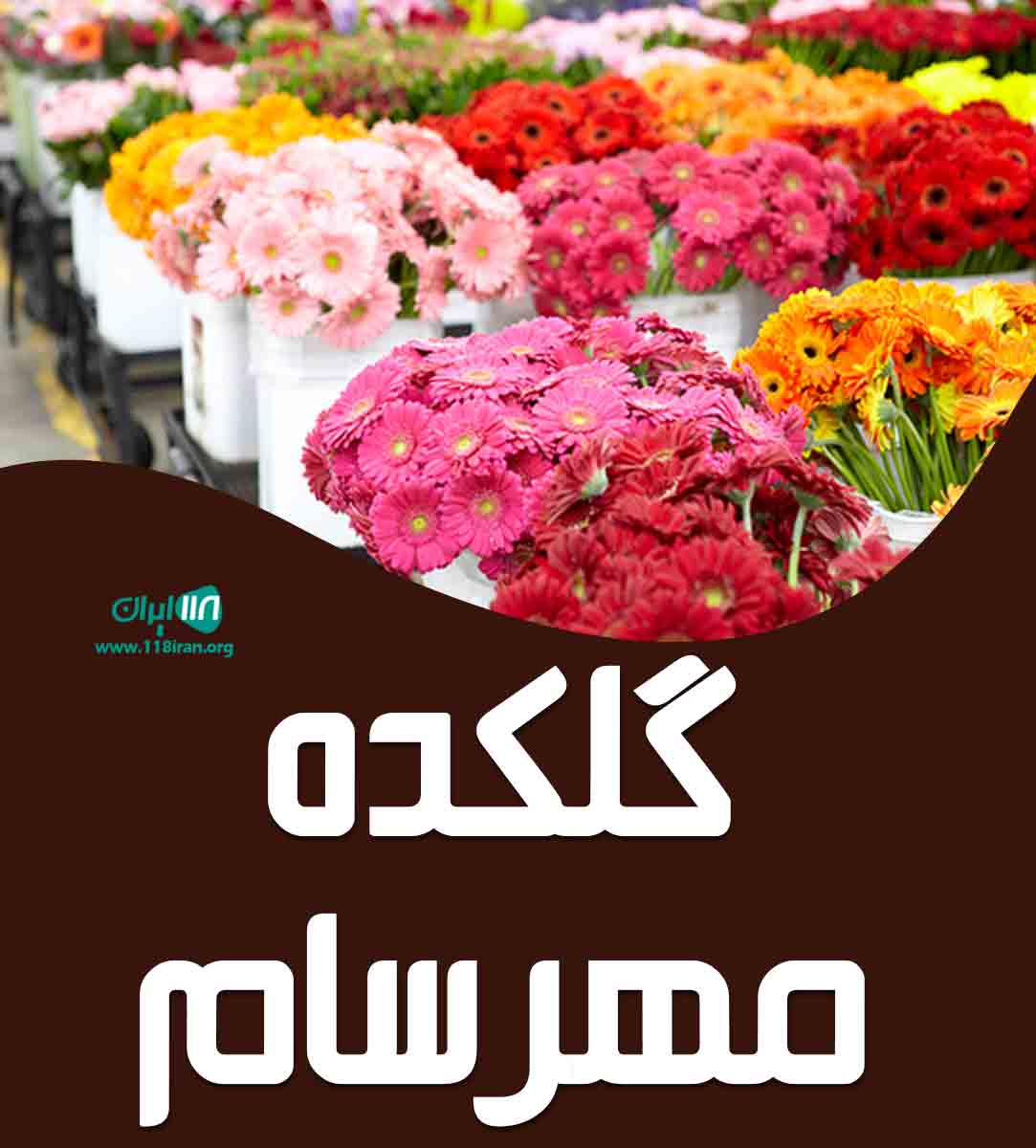 گلکده مهرسام در شیرود تنکابن گلکده مهرسام در شیرود تنکابن