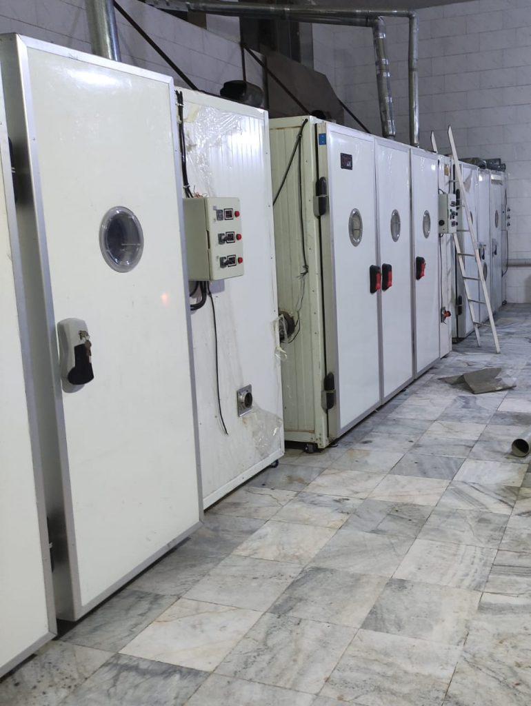 تولید میوه خشک احمدی در کرج