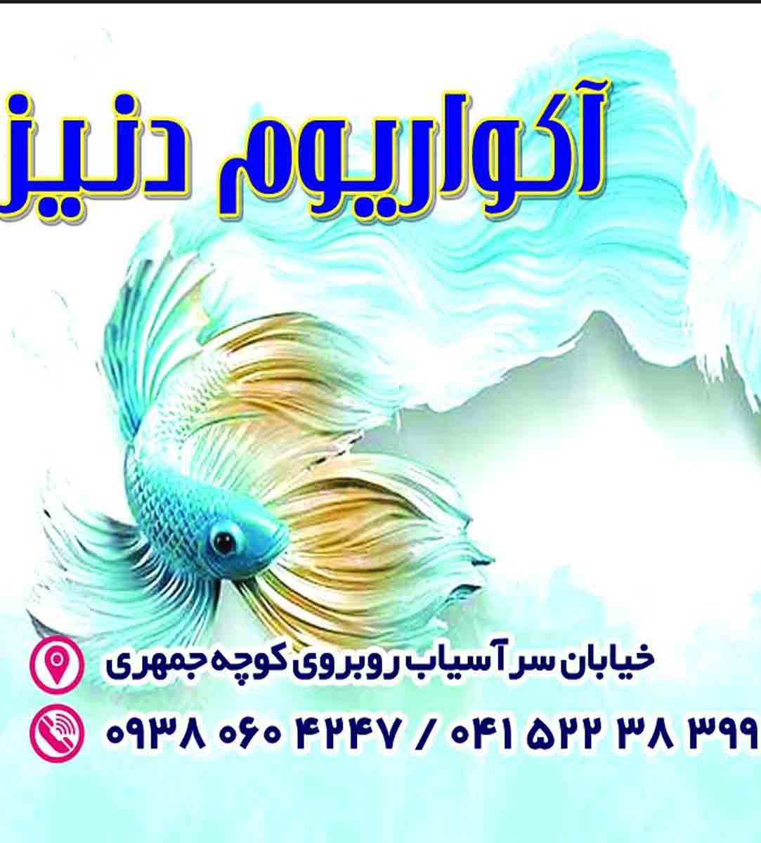 آکواریوم دنیز در آذربایجان شرقی میانه آکواریوم دنیز در آذربایجان شرقی میانه