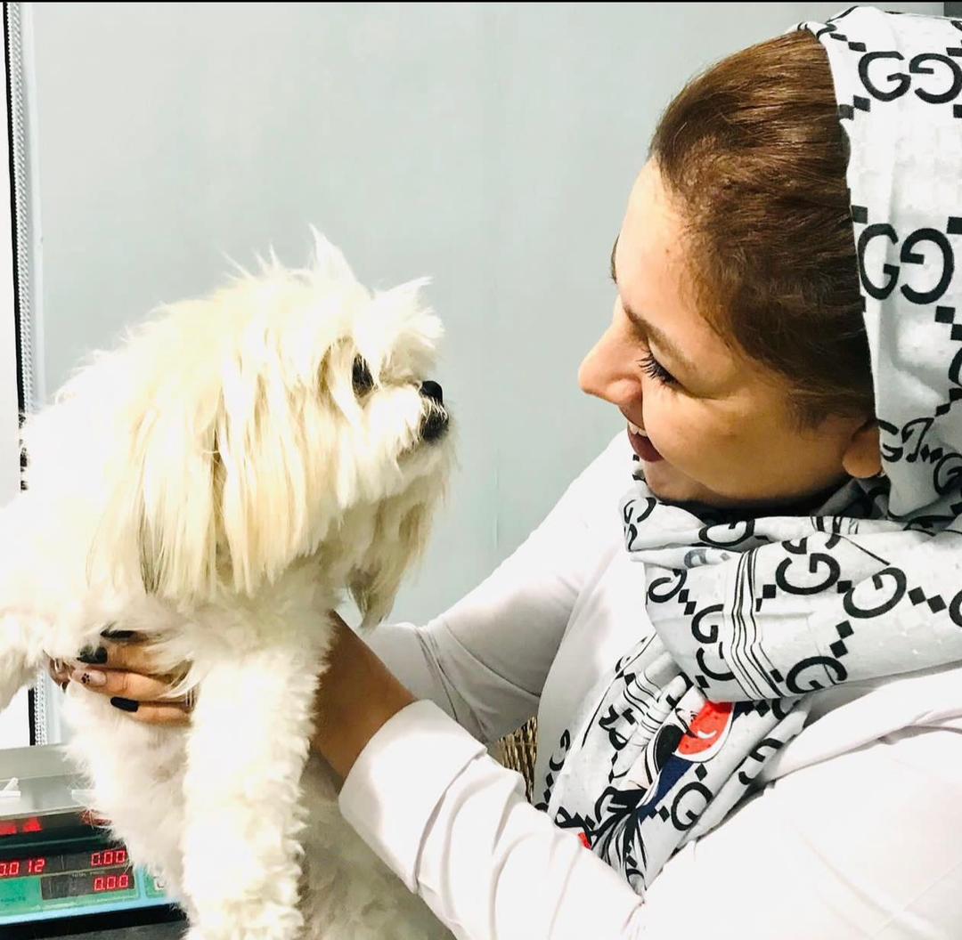 کلینیک دامپزشکی میراث در آباده کلینیک دامپزشکی میراث در آباده