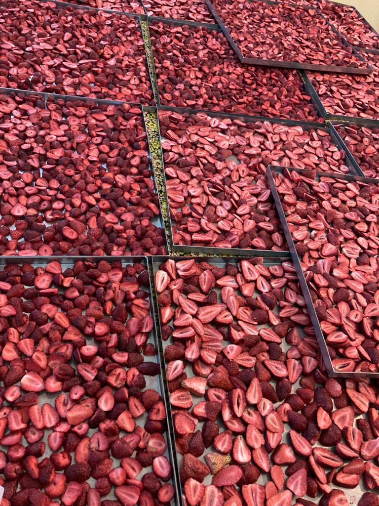 تولید میوه خشک احمدی در کرج